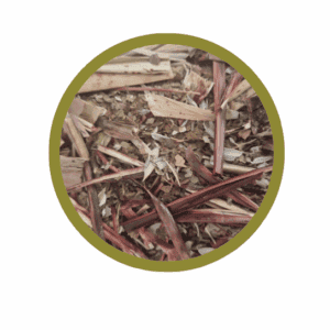 Circulation sanguine, drainage et bonne mémoire : Vigne rouge, ginkgo , ortie ,hibiscus (bissap)