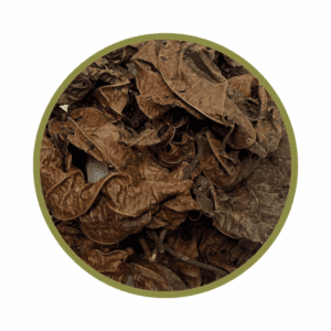 Feuilles de djéka