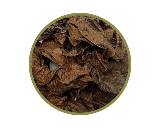 Feuilles de djéka