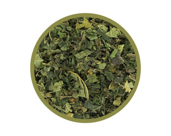 Feuilles de ortie bio
