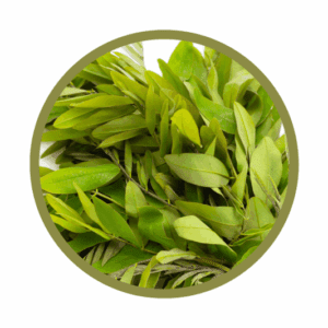Feuilles de séné bio