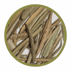 Feuilles entières d'olivier