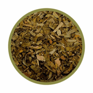 Ginkgo biloba