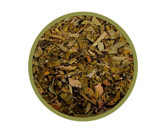 Ginkgo biloba