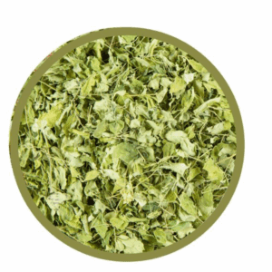 Moringa feuilles