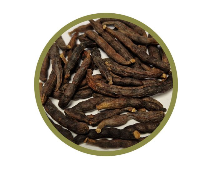 Poivre Selim (poivre long d&rsquo;Afrique)