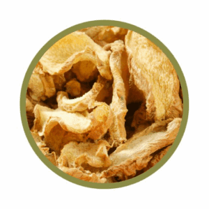 Racines de gingembre bio