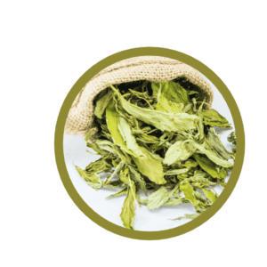Feuille de stévia (Stevia rebaudiana)